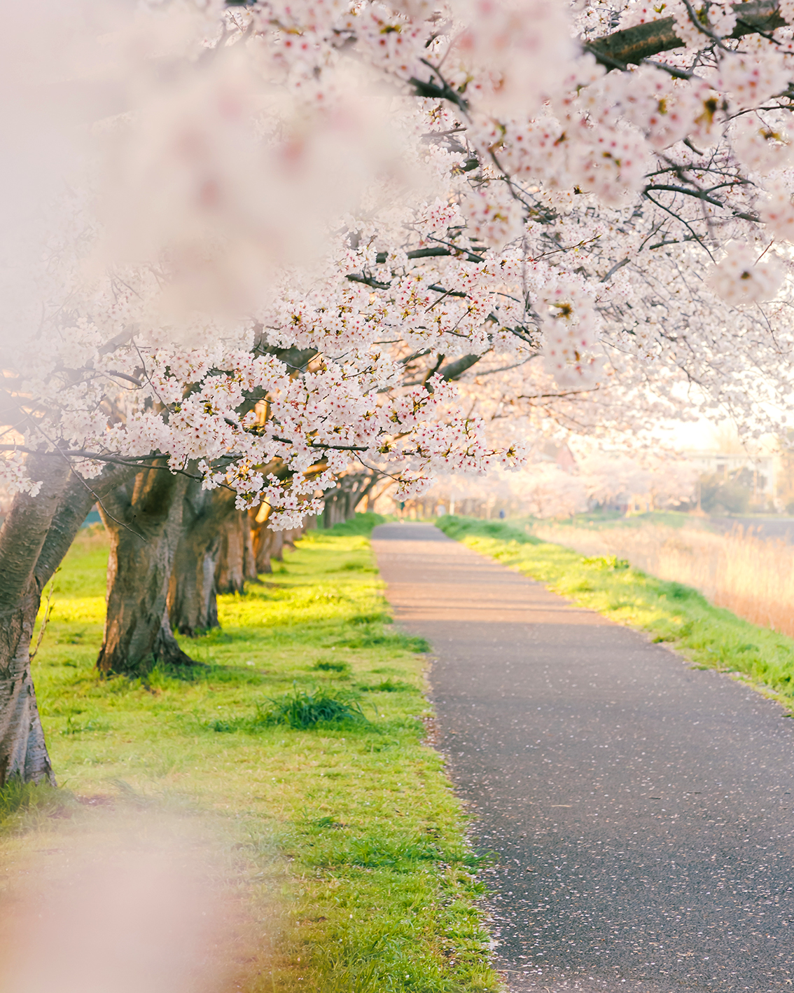 イベント:イメージ