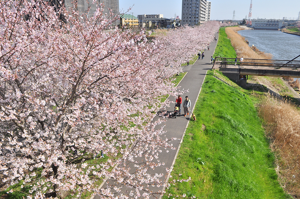イベント:イメージ