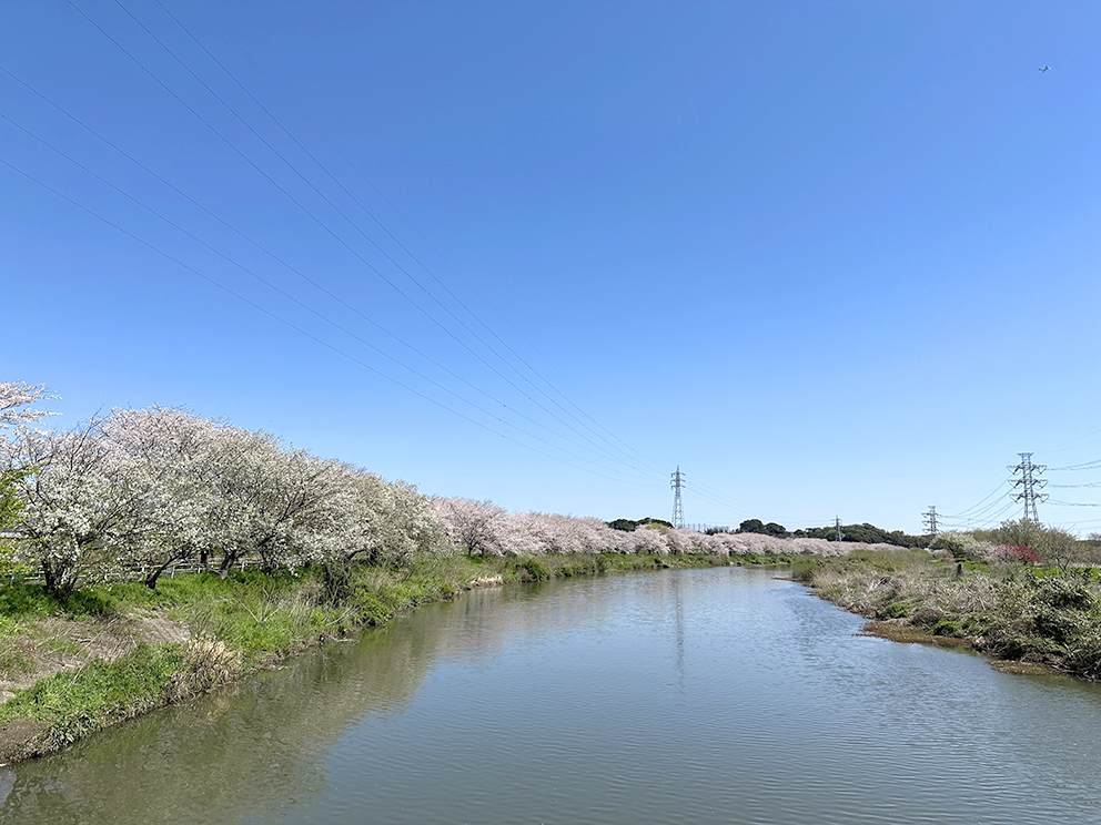 イベント:イメージ