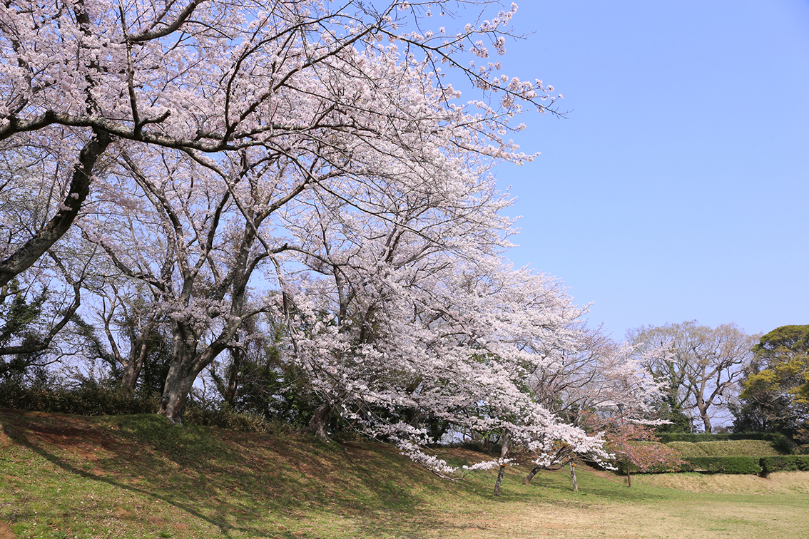 イベント:イメージ