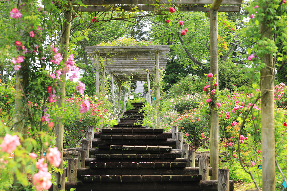 イベント:イメージ